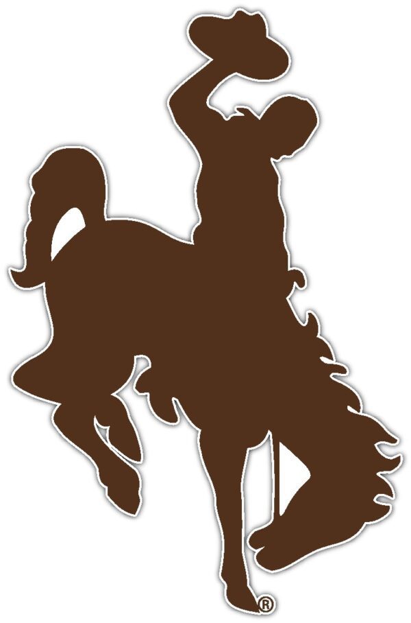 Wyoming Cowboys NCAA Logo vinyl sticker