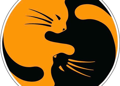 Yin Yang Cats Symbol vinyl sticker
