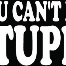 You Can’t Fix Stupid Funny Vinyl Sticker