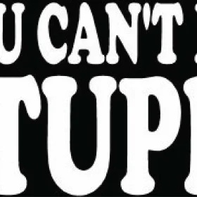 You Can’t Fix Stupid Funny Vinyl Sticker