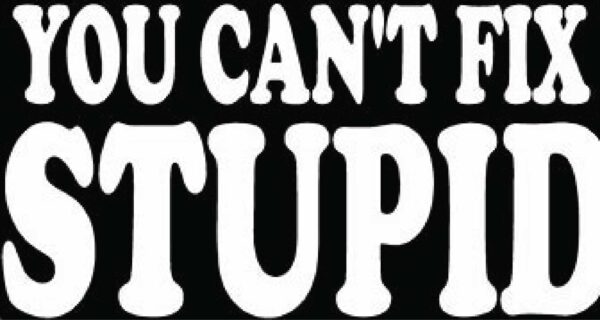 You Can’t Fix Stupid Funny Vinyl Sticker