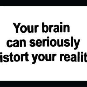 Your Brain Can Seriously Distort Your Reality Vinyl Sticker