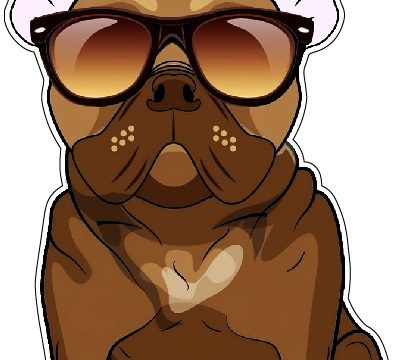 Cute French Bulldog Stylish Sunglasses Trendy Dog Art Fashionable Frenchie Cool Pet Design Adorable Pup Hipster Puppy Animal Cartoon vinyl sticker