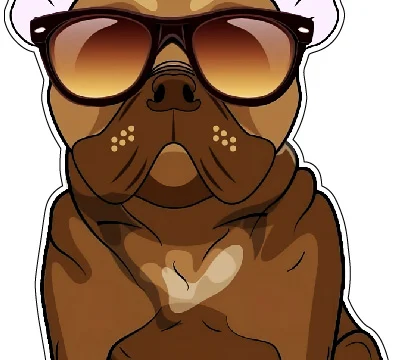 Cute French Bulldog Stylish Sunglasses Trendy Dog Art Fashionable Frenchie Cool Pet Design Adorable Pup Hipster Puppy Animal Cartoon vinyl sticker