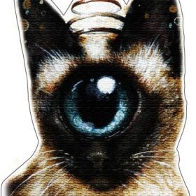 One Eye Magic Cat vinyl sticker