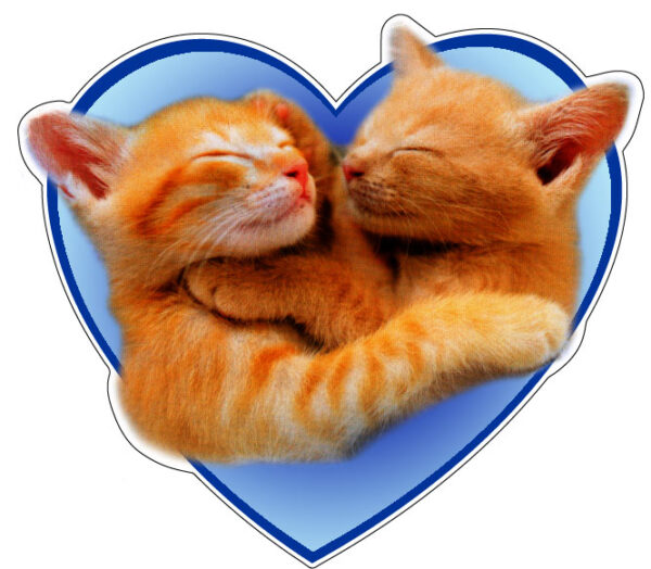 Adorable Cats Purrfectly In Love Furry Romance Blue Heart Bliss Whiskers & Warmth Cute Cat Couple Meow Magic Feline Affection Love In The Air Cozy Cat Companions Paw-some Heartfelt Connection vinyl sticker