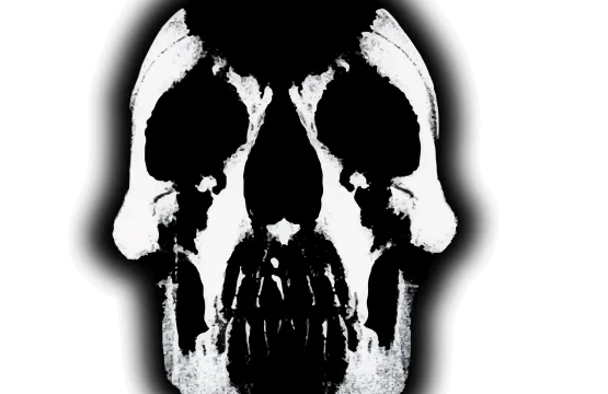 deftones-skull