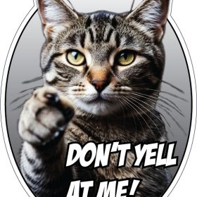 Don’t Yell At Me Angry Cat Funny Sassy Pet Meme Aggressive Paw Humor Animal Lover Aesthetic vinyl sticker