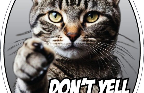 Don’t Yell At Me Angry Cat Funny Sassy Pet Meme Aggressive Paw Humor Animal Lover Aesthetic vinyl sticker