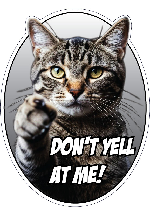 Don’t Yell At Me Angry Cat Funny Sassy Pet Meme Aggressive Paw Humor Animal Lover Aesthetic vinyl sticker Don’t Yell At Me Angry Cat Funny Sassy Pet Meme Aggressive Paw Humor Animal Lover Aesthetic vinyl sticker