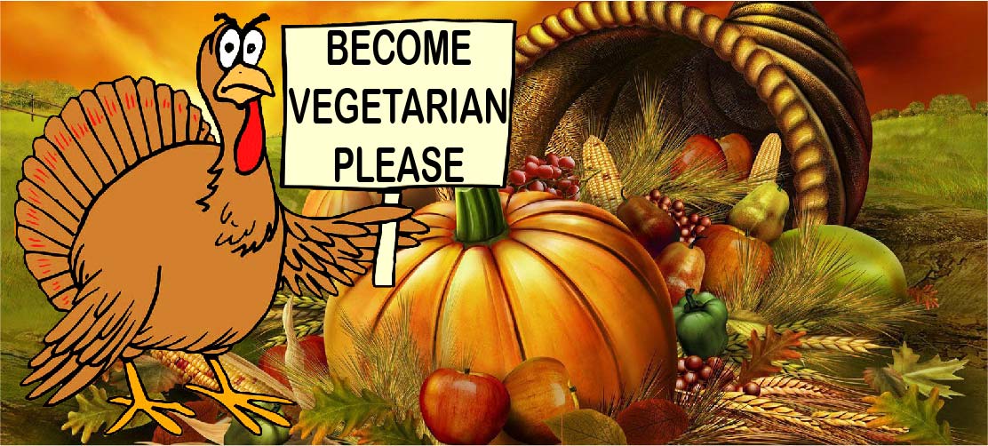happy turkey says please become vegetarian