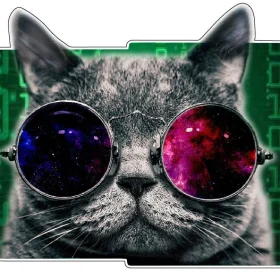 Matrix Cat Morpheus Glasses vinyl sticker