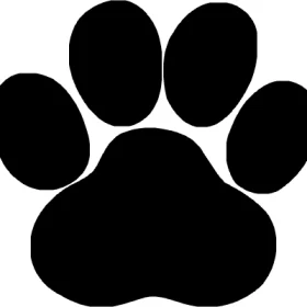 paw
