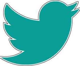twitter logo bird