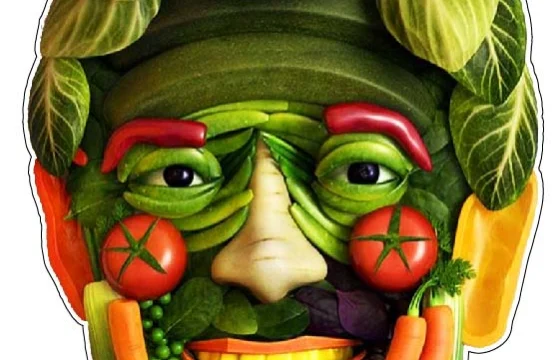 Funny Face Portrait Vegetables vinyl sticker printed vinyl decal